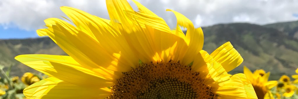 BritNemeth's profile banner image