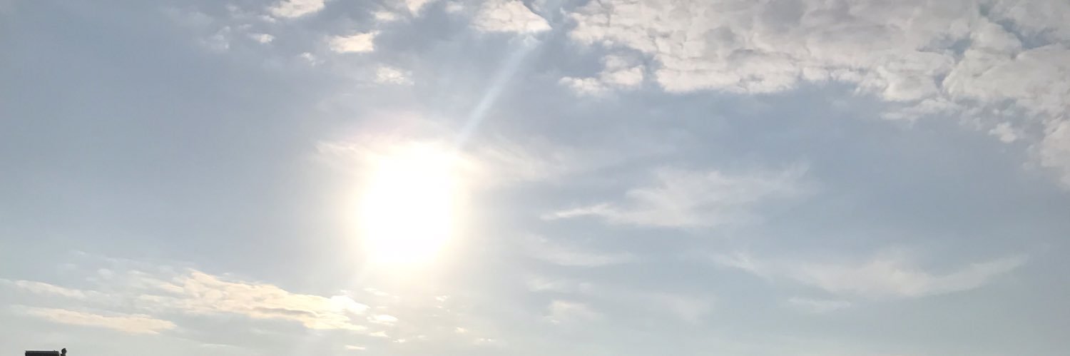 ellazique's profile banner image