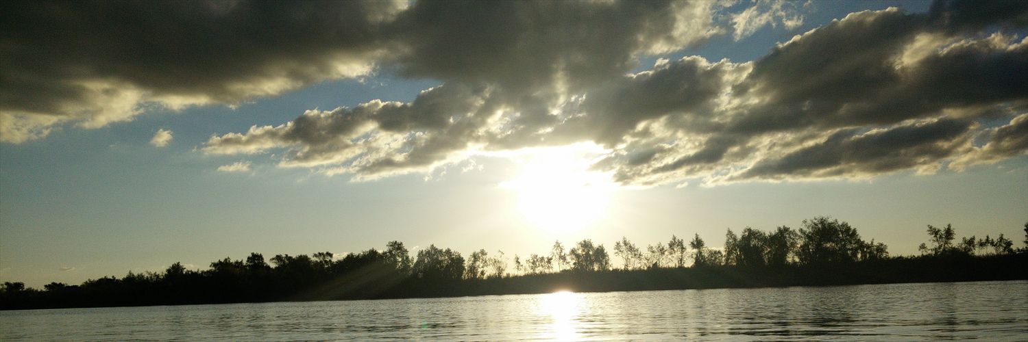luchyrf's profile banner image