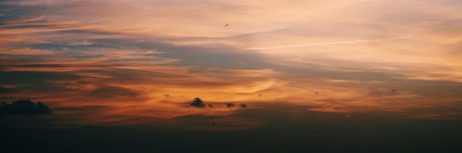 SofiMarroquin's profile banner image