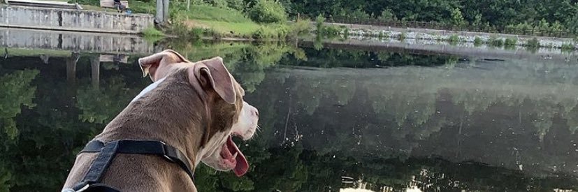 mainestory's profile banner image