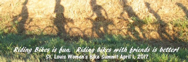 STLwbs's profile banner image