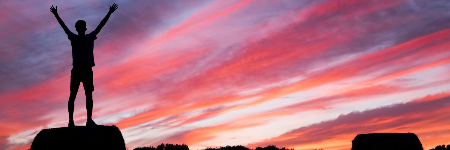 David Sánchez Tienda banner