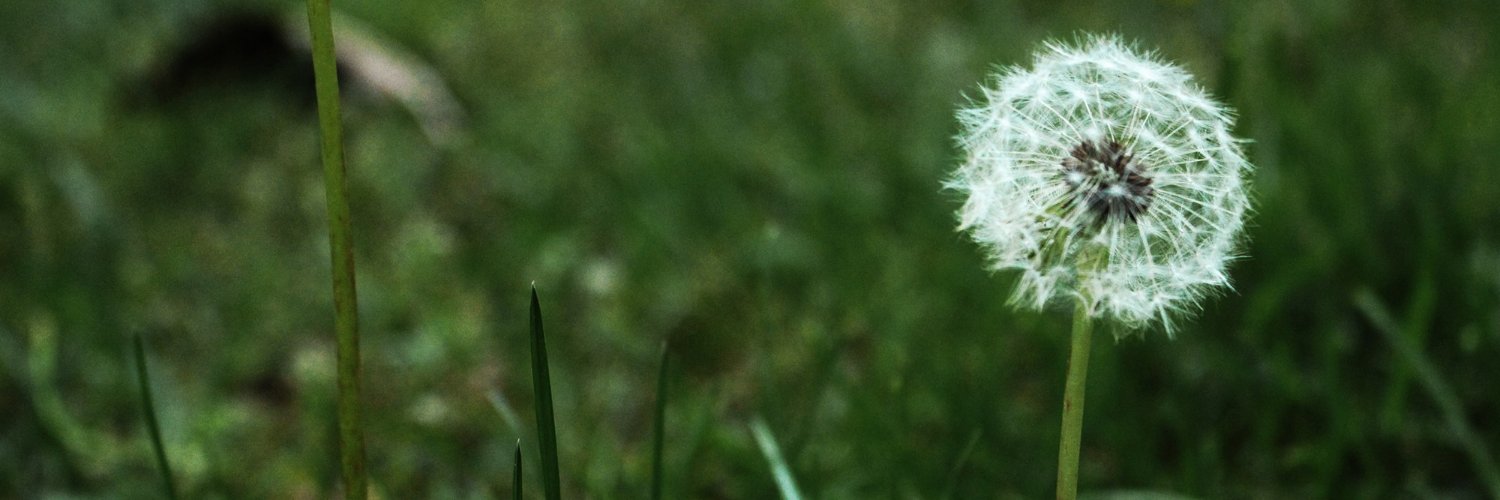 lu_lunacy's profile banner image