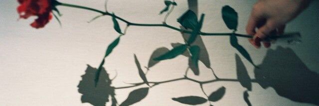 __tc_7's profile banner image