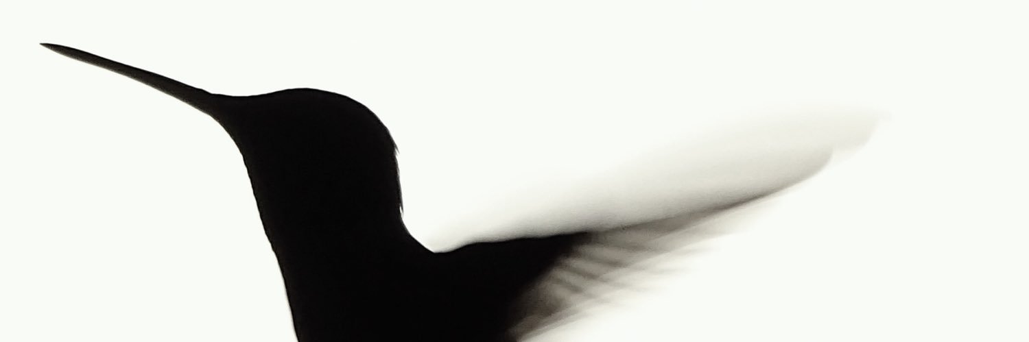 Dany_Lazcano's profile banner image