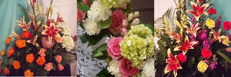 d_demarco3's profile banner image