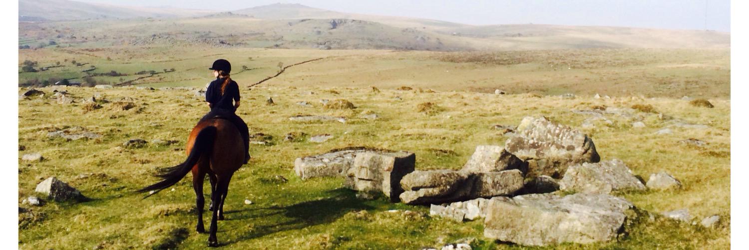 jess_macphail's profile banner image
