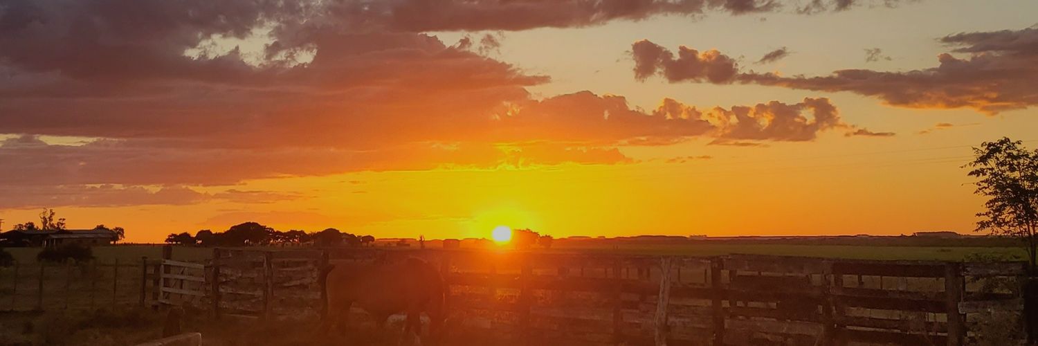 linandzz's profile banner image