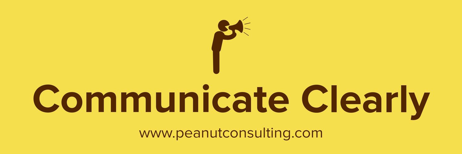 pnutconsulting's profile banner image