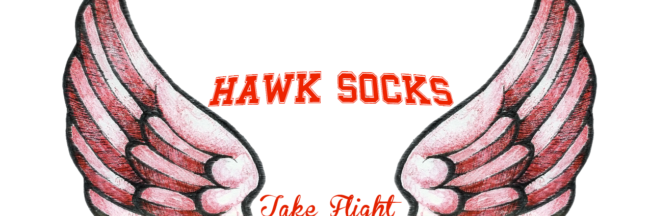 HawkSocks's profile banner image