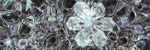 Lauren Robertson 🇺🇦 banner