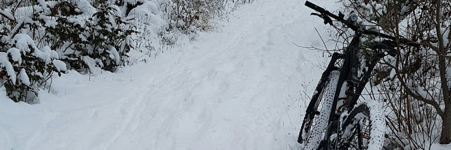 theforrestchris's profile banner image