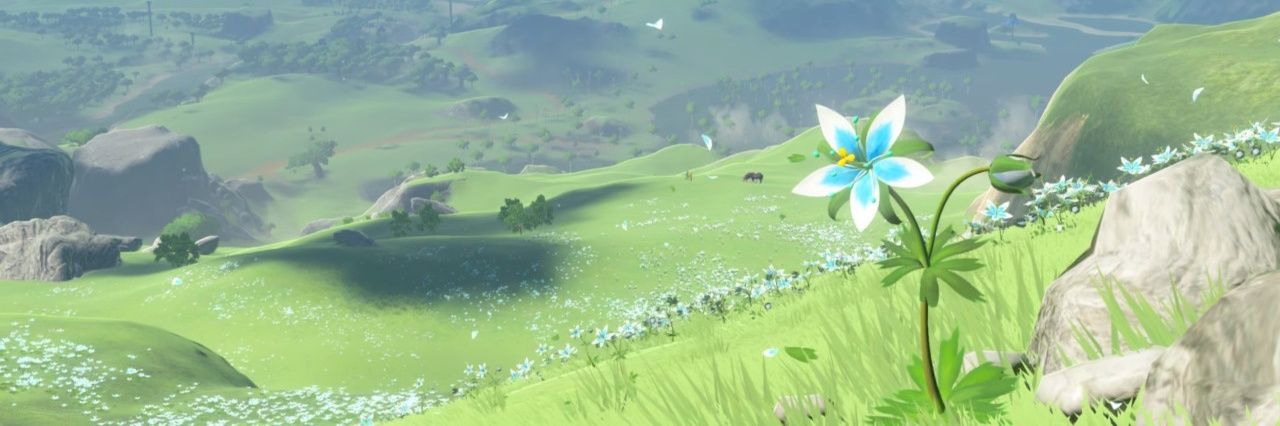 dWfr77's profile banner image