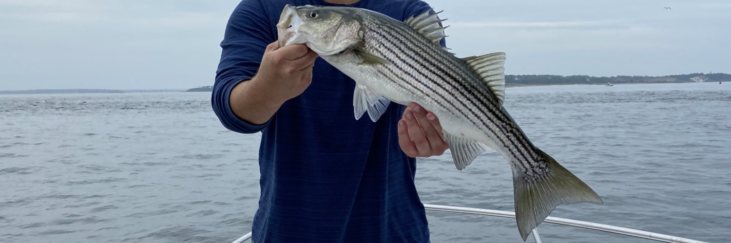 JakeRomanski's profile banner image