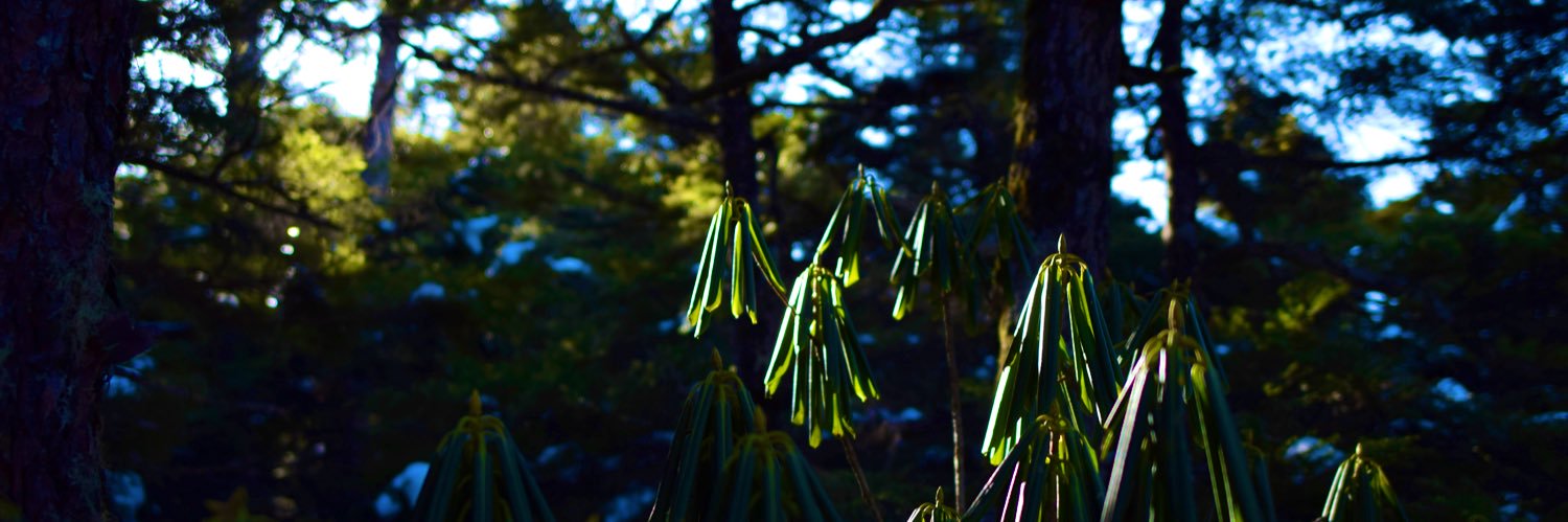 04302626's profile banner image
