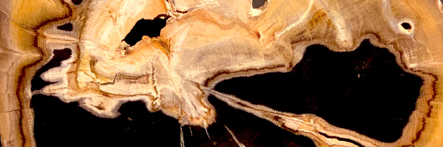 OmarQuinone5's profile banner image