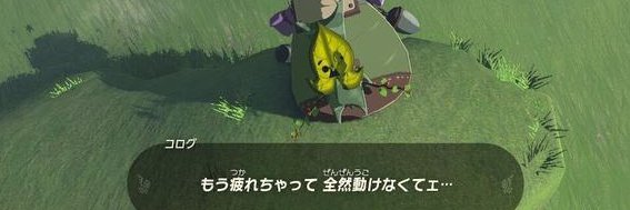 きむ banner
