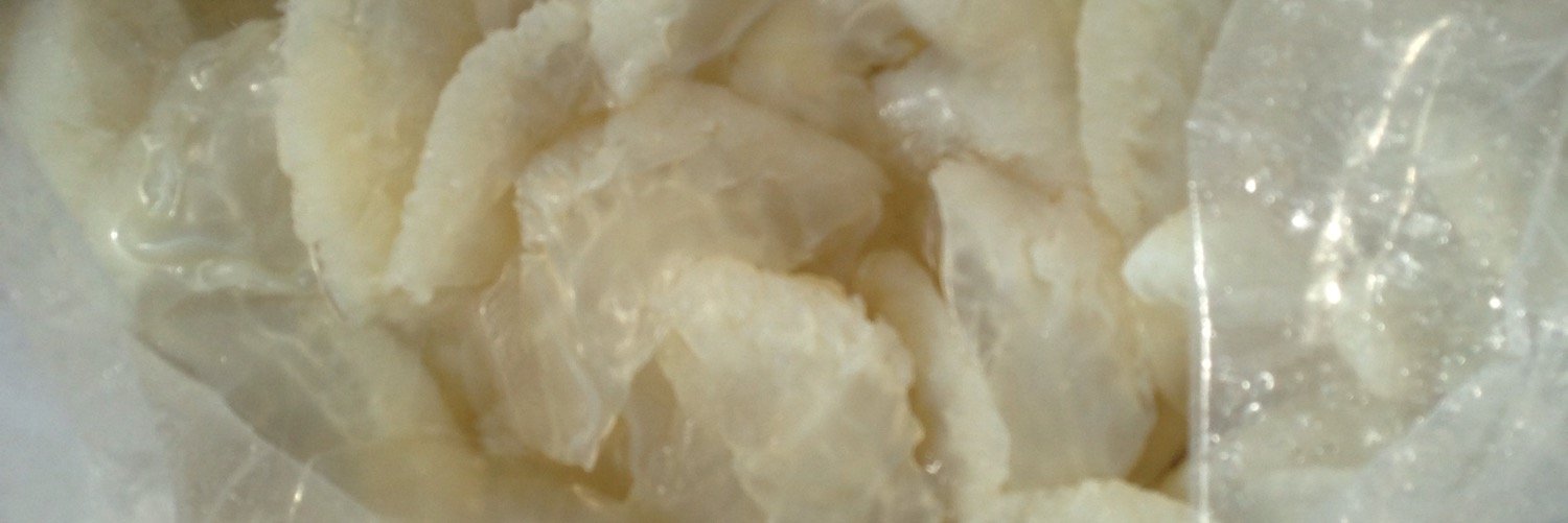 nobutaka32's profile banner image
