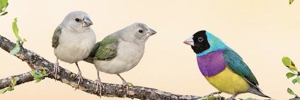 sppaudel9 Profile Banner