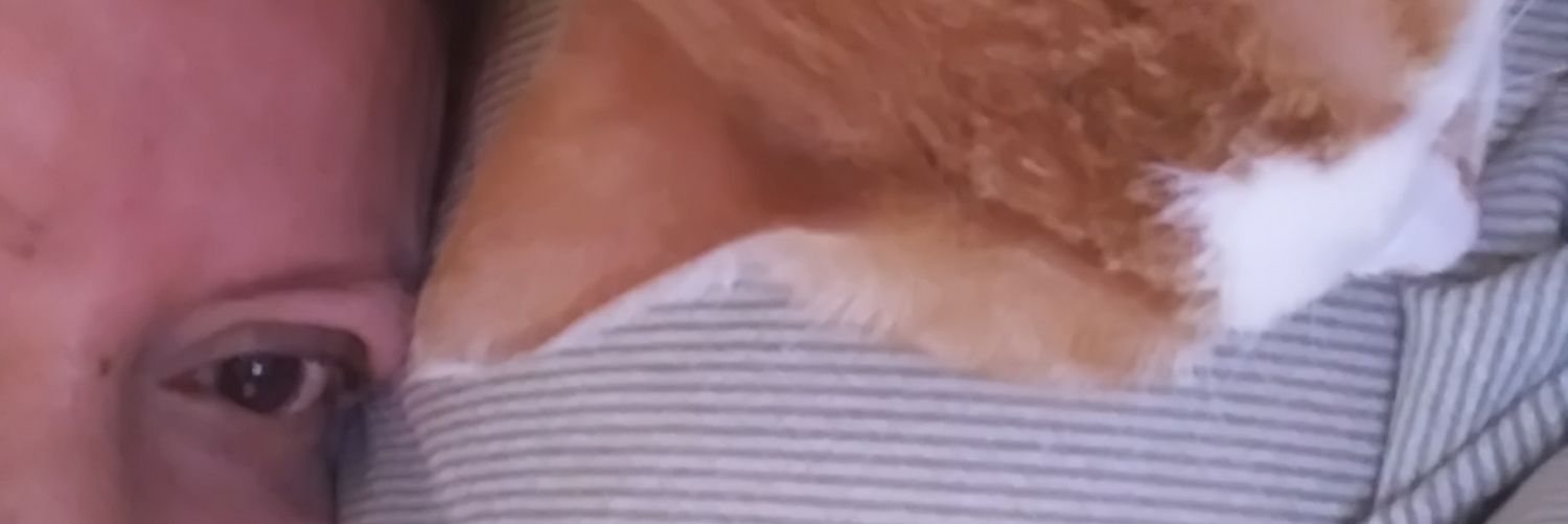 ileanplaya's profile banner image