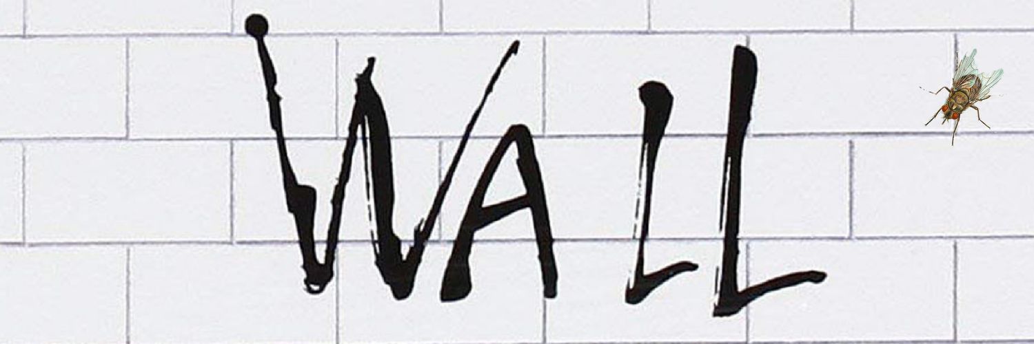 weeflyonthewall's profile banner image