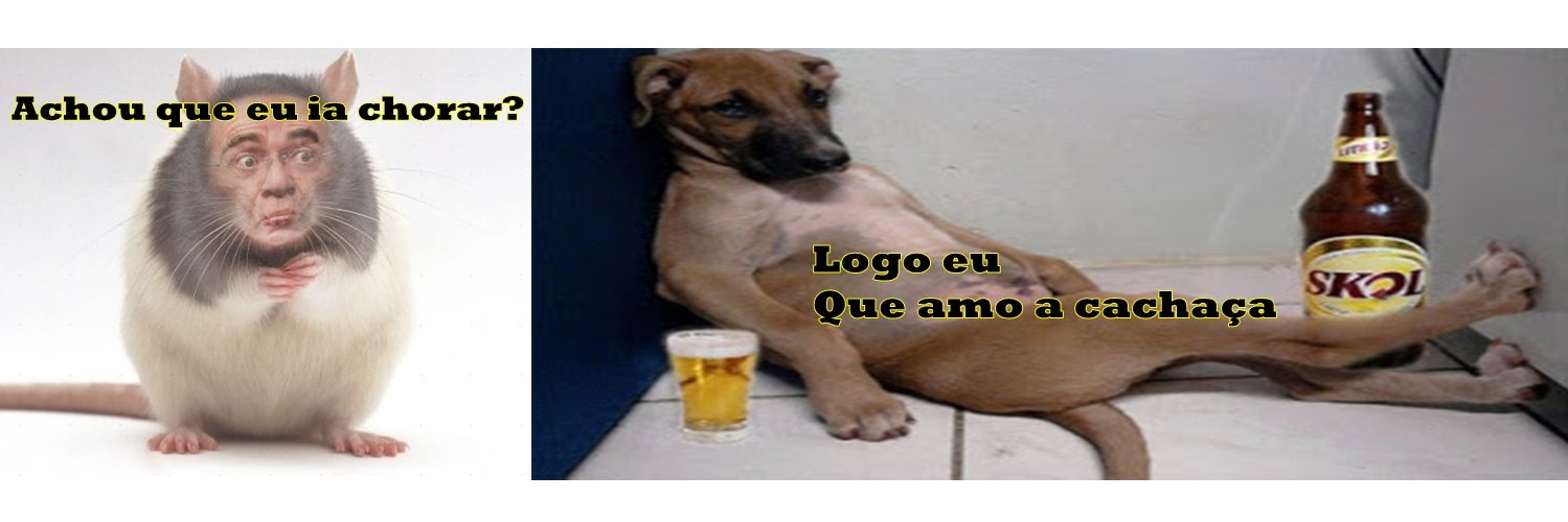 papatellas's profile banner image