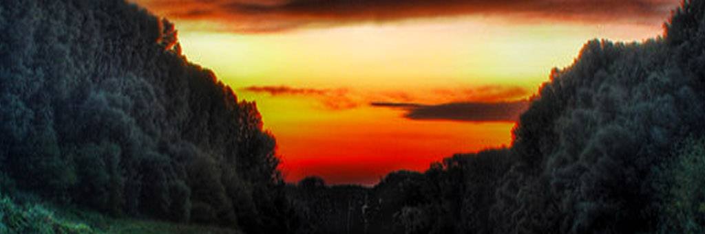 KMM1402's profile banner image