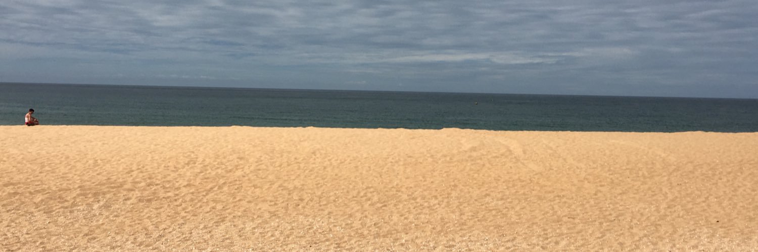LisaLytham's profile banner image