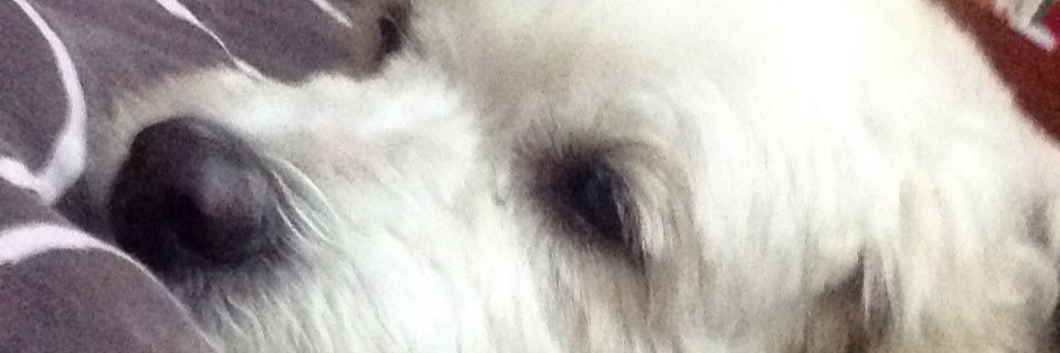 _tanialopz's profile banner image