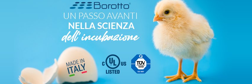 INCUBATRICI BOROTTO banner
