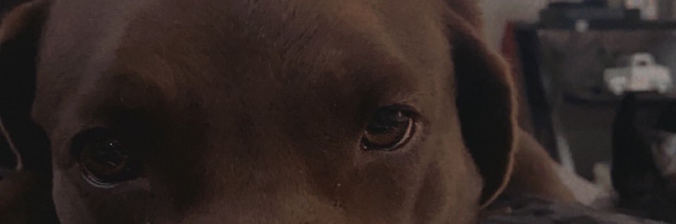 Chrislynn_Beck's profile banner image