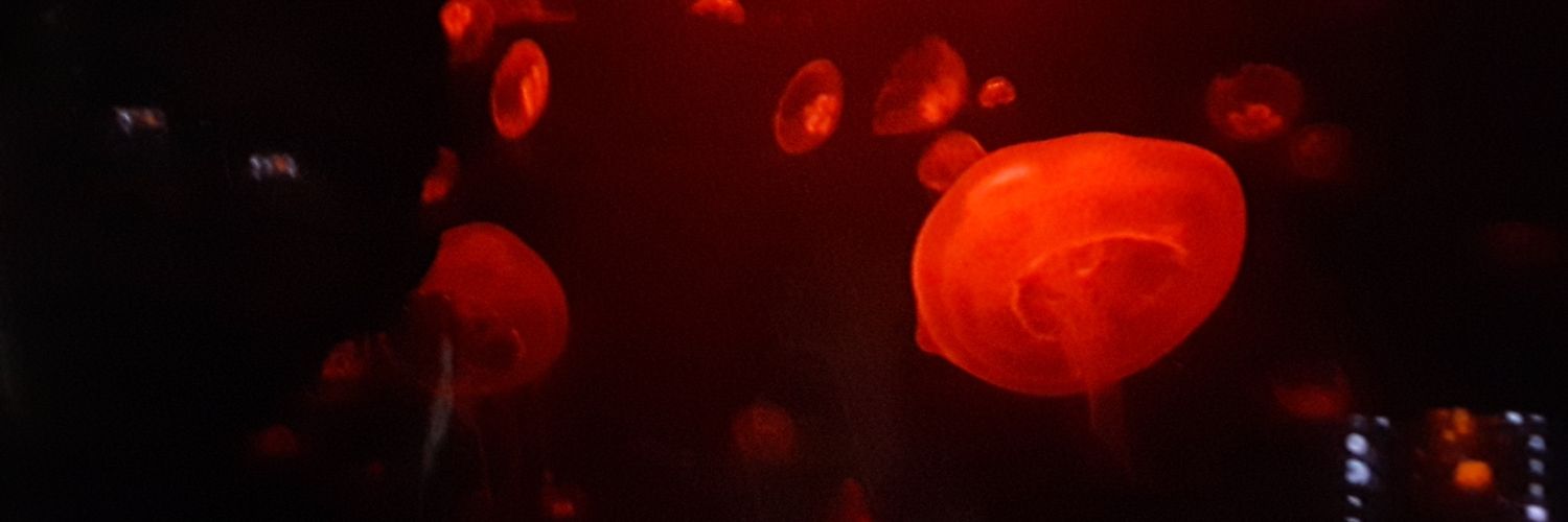 Ericj2103's profile banner image