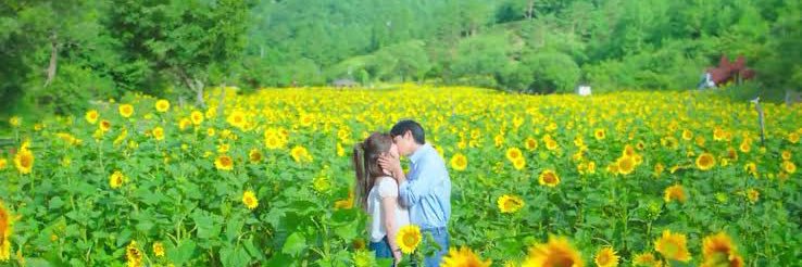 Carymifive 🪬⚡️ banner