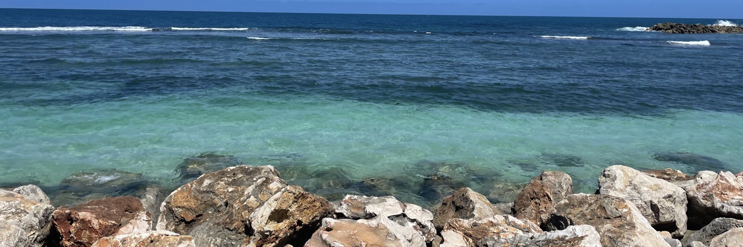 sassteena's profile banner image