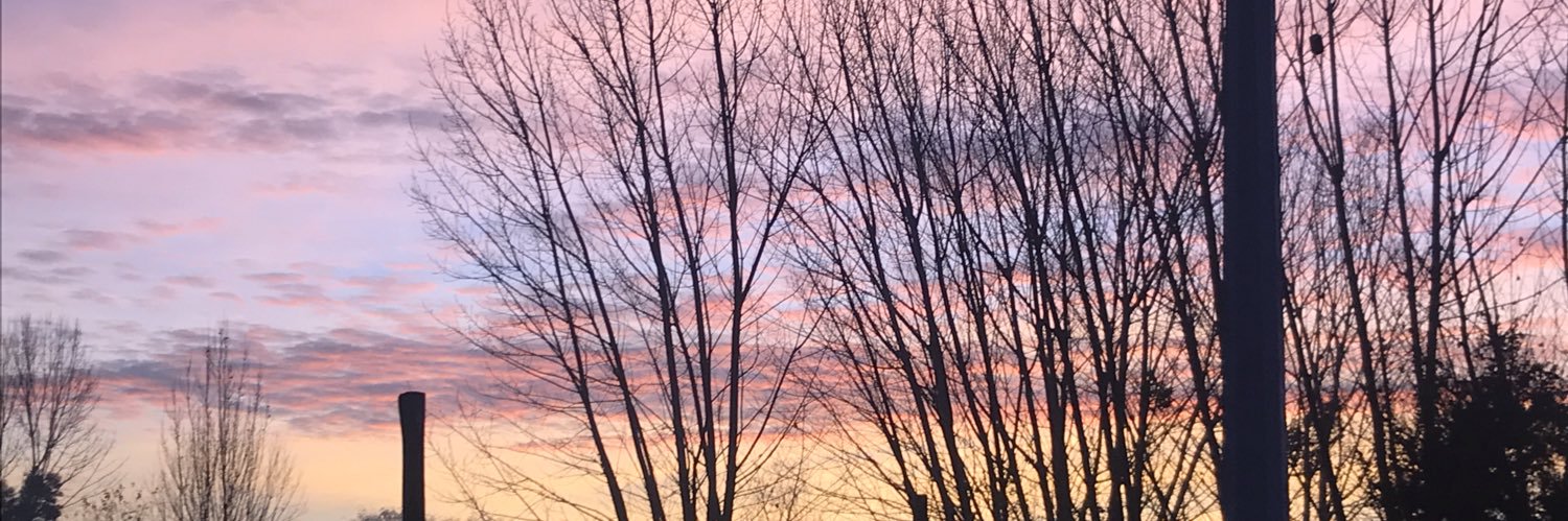 macarenachadez's profile banner image