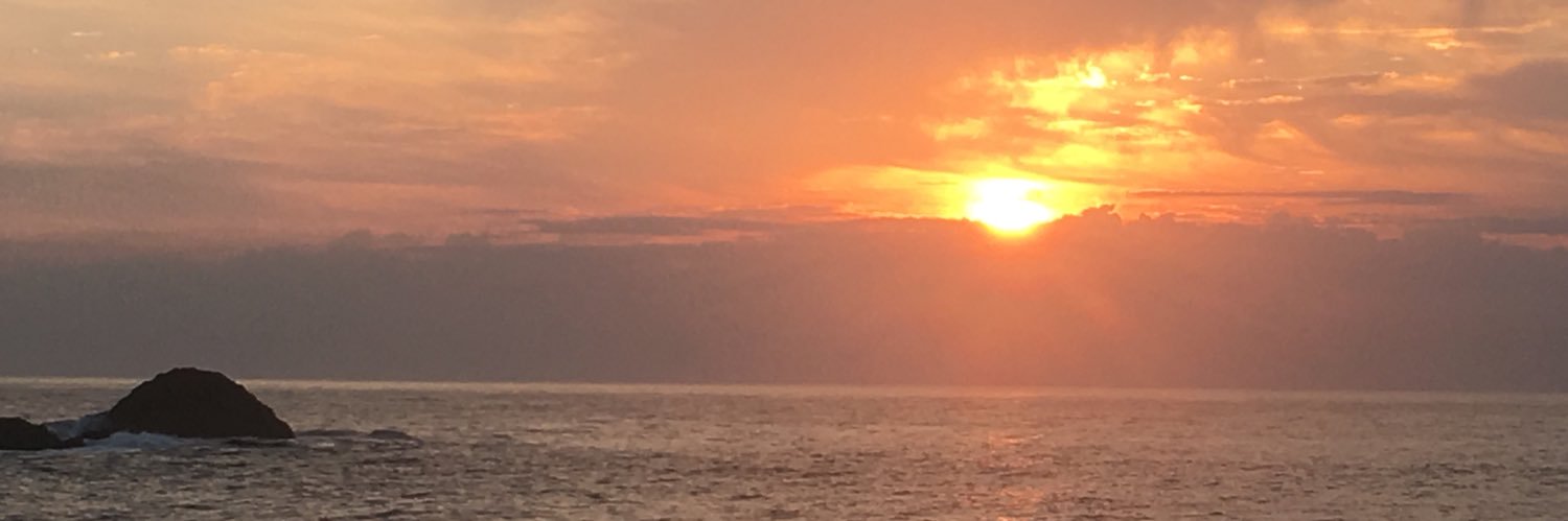 WildReo's profile banner image