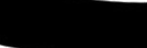 L13 banner