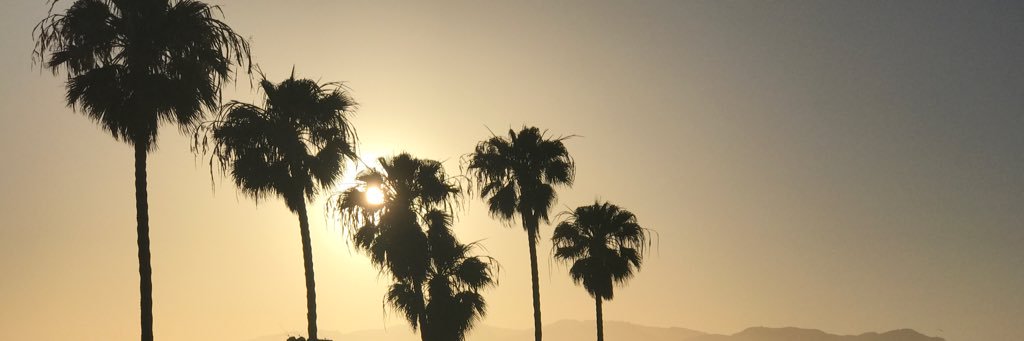 FarkasDavid01's profile banner image