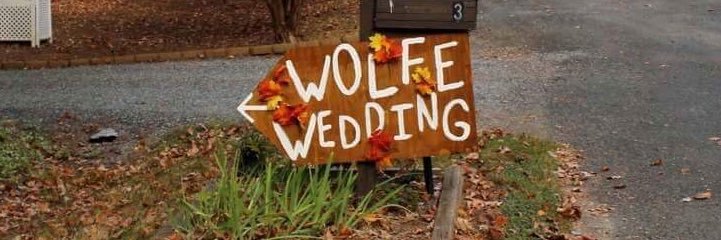 nikki wolfe banner