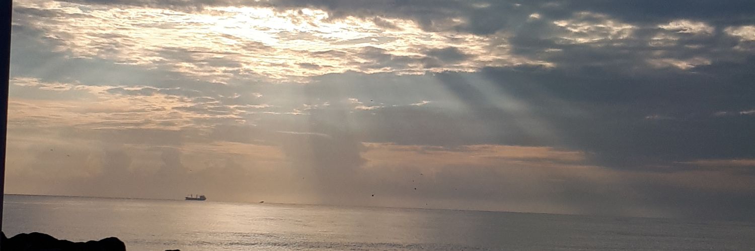 FreddyRamirez04's profile banner image