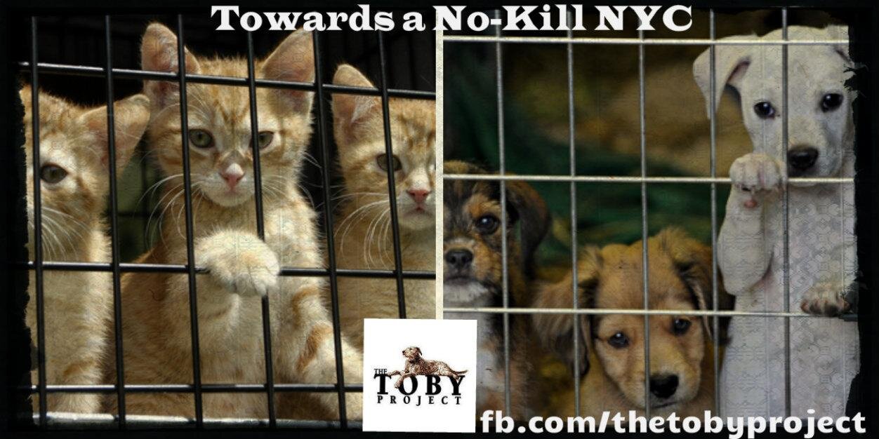 THE TOBY PROJECT (@TOBYPROJECT) / Posts / X