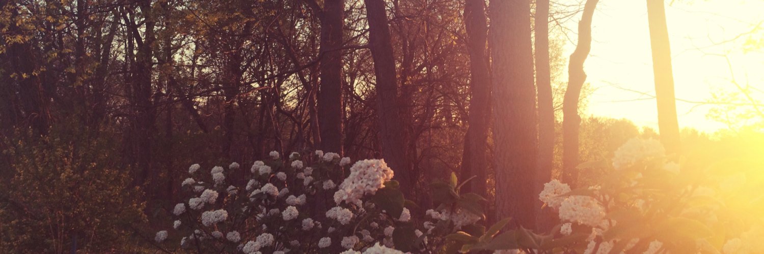 EmPow94's profile banner image