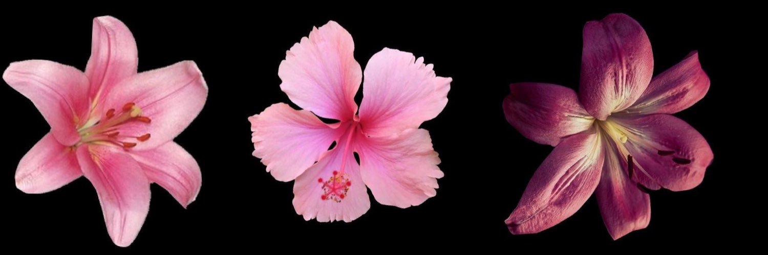 KianaCard's profile banner image