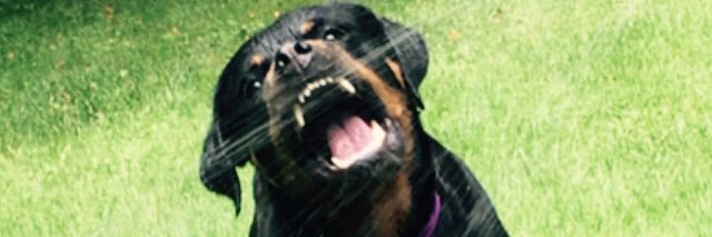 PopeJonHall's profile banner image