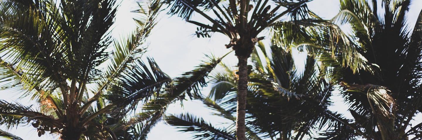 artpinho's profile banner image