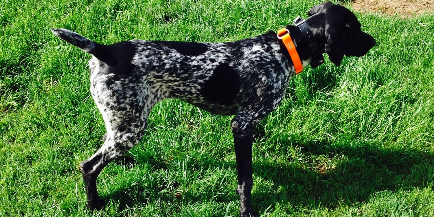 Aaron Clusiau banner