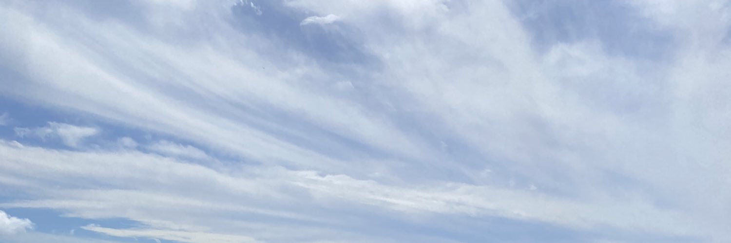 Abby banner