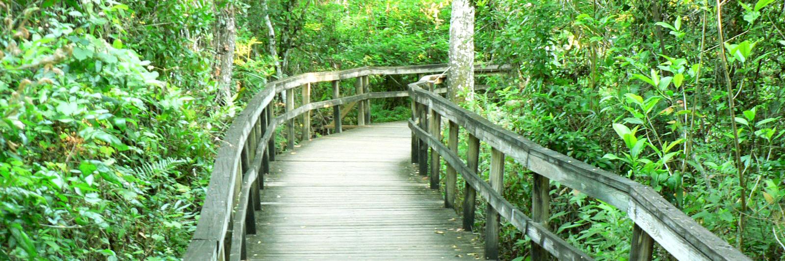 DescubraFlorida's profile banner image