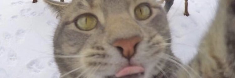 ldrlssdavide's profile banner image